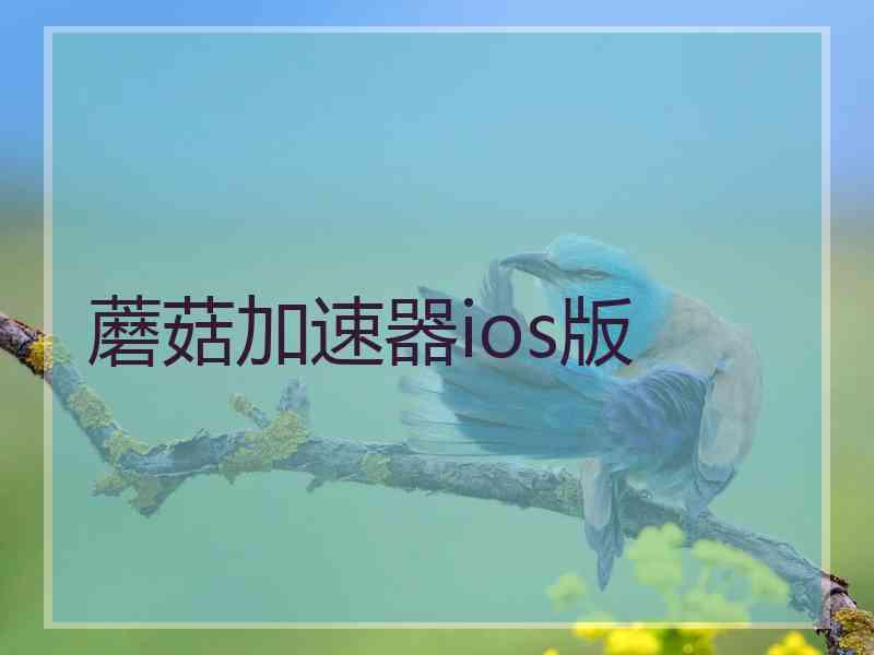 蘑菇加速器ios版