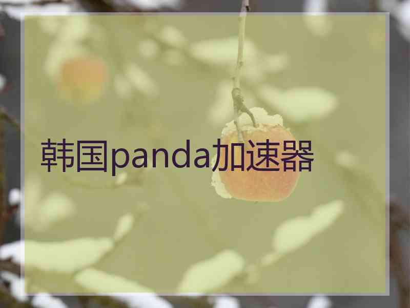 韩国panda加速器