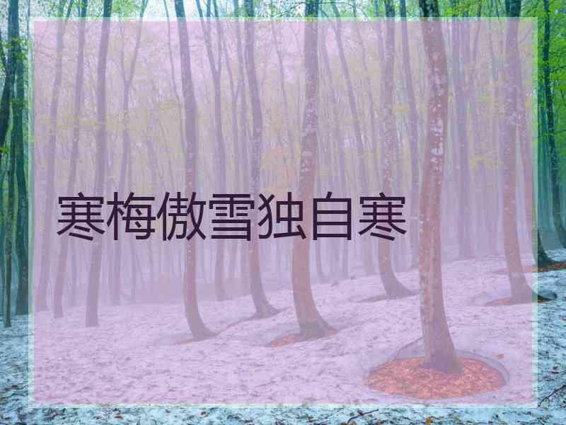 寒梅傲雪独自寒