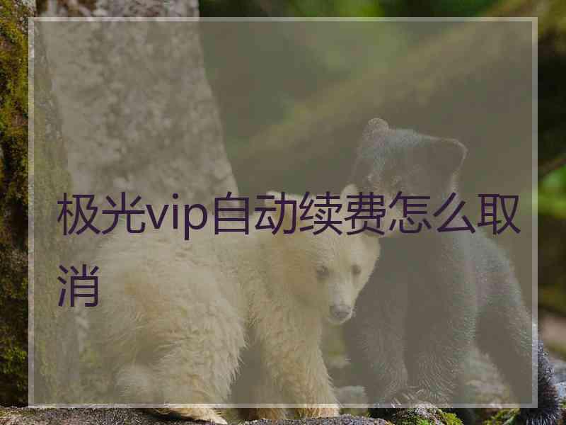 极光vip自动续费怎么取消