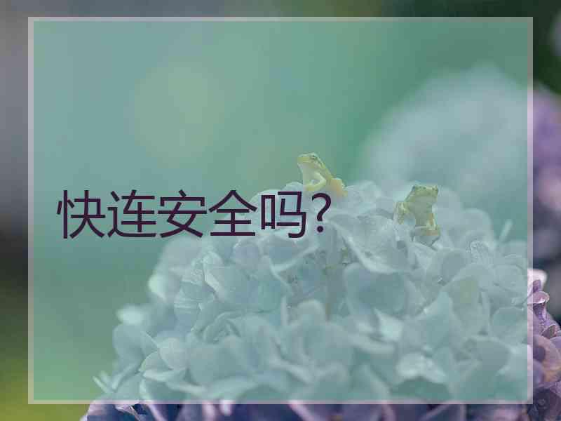 快连安全吗?