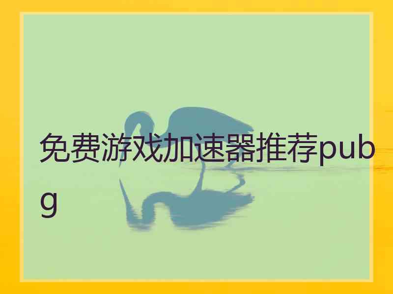 免费游戏加速器推荐pubg