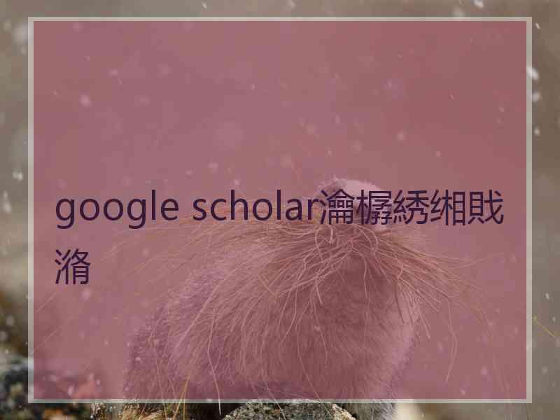 google scholar瀹樼綉缃戝潃