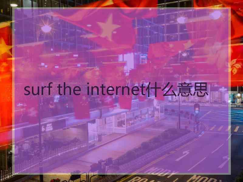 surf the internet什么意思