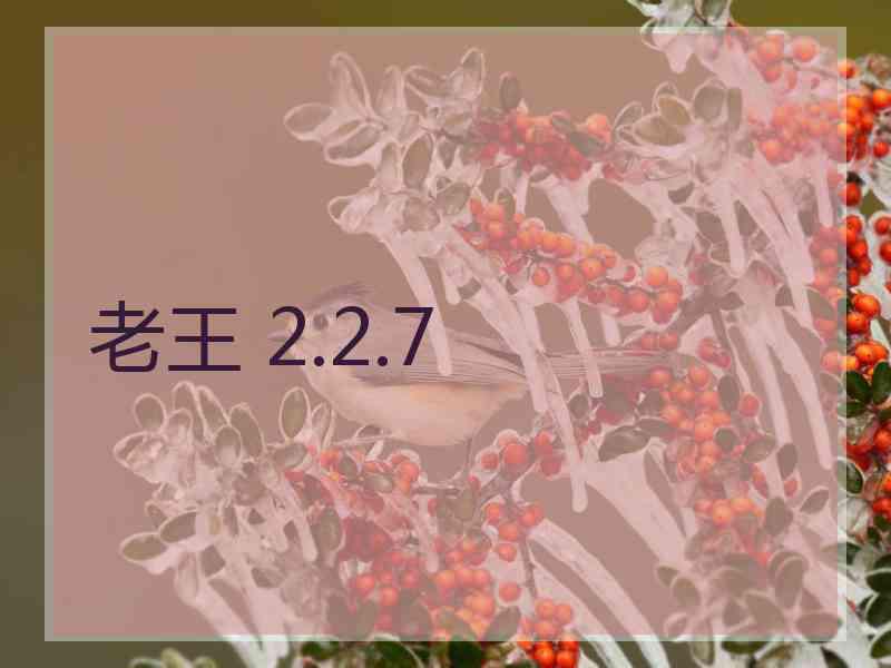 老王 2.2.7