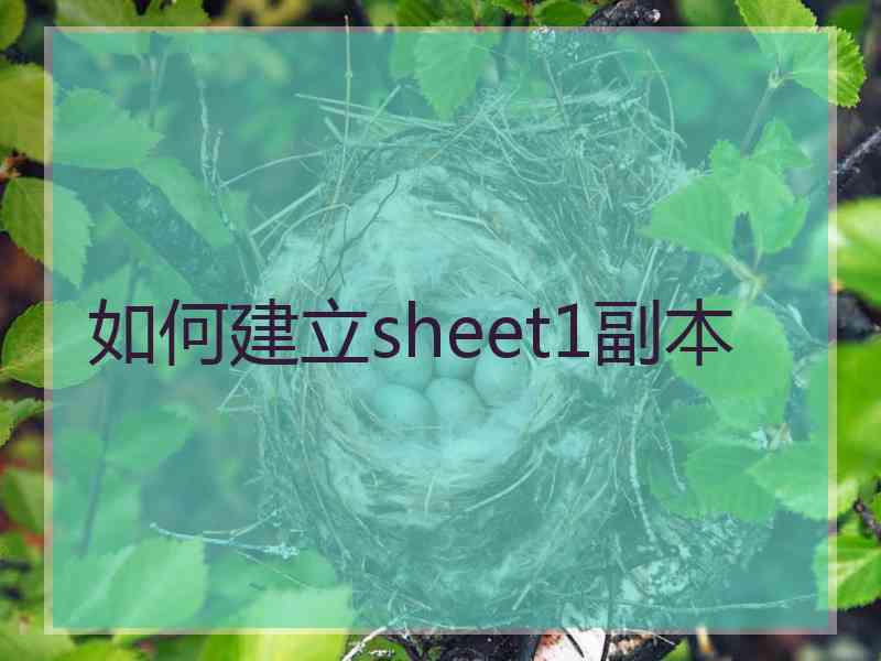 如何建立sheet1副本