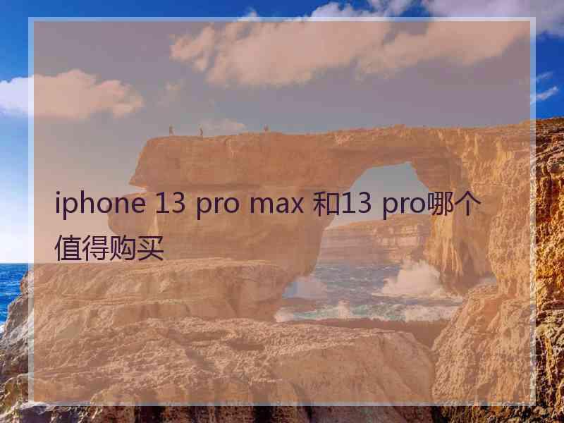 iphone 13 pro max 和13 pro哪个值得购买