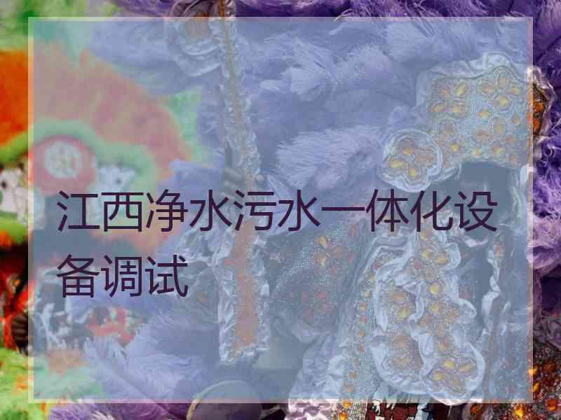 江西净水污水一体化设备调试