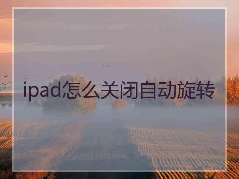 ipad怎么关闭自动旋转