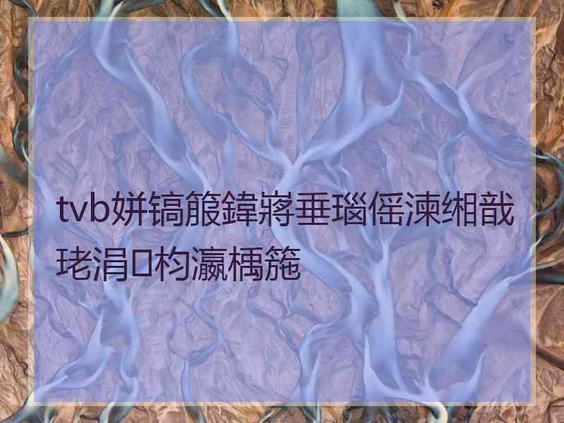 tvb姘镐箙鍏嶈垂瑙傜湅缃戠珯涓枃瀛楀箷