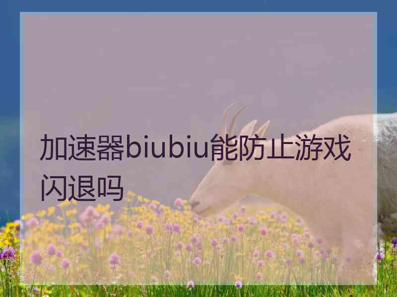 加速器biubiu能防止游戏闪退吗