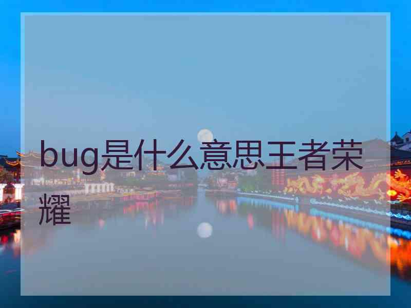 bug是什么意思王者荣耀