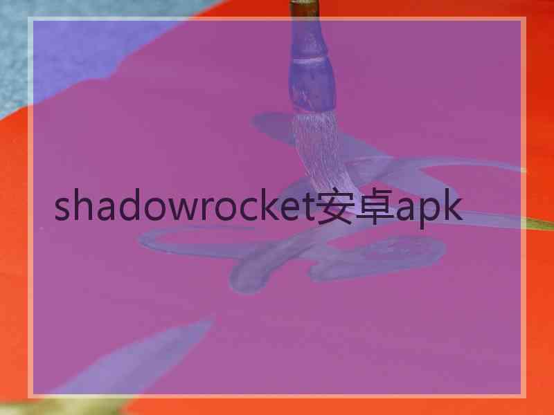 shadowrocket安卓apk