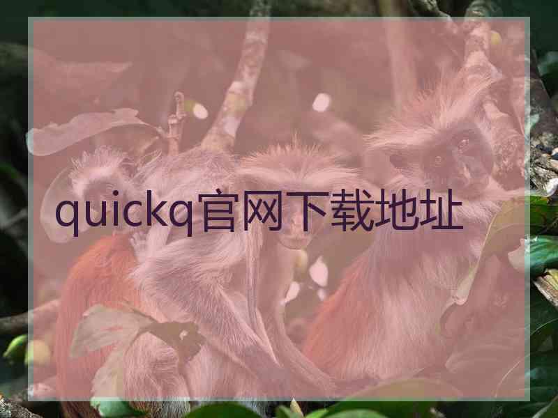 quickq官网下载地址