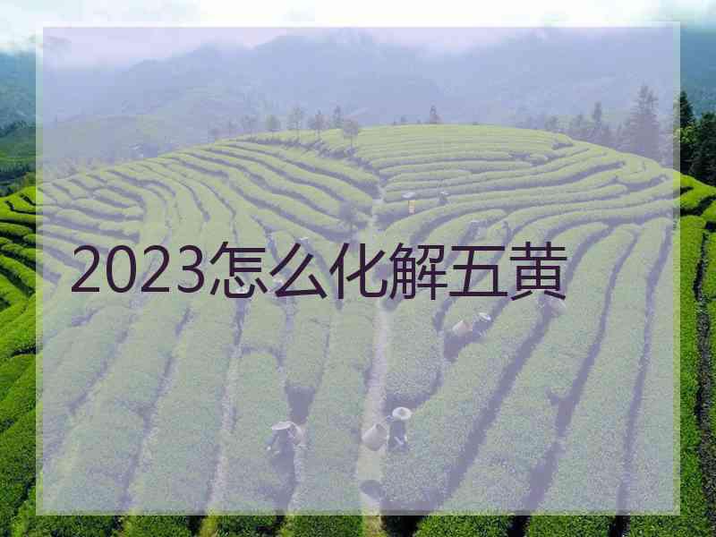 2023怎么化解五黄