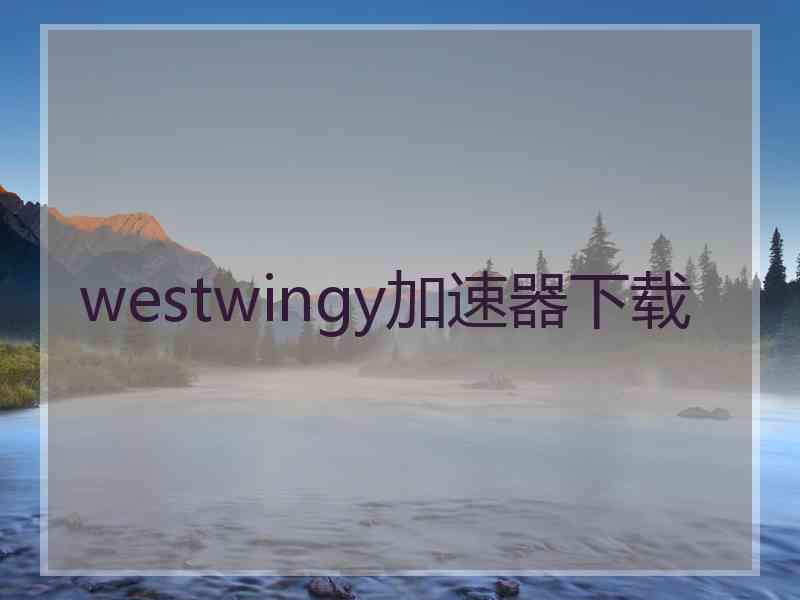 westwingy加速器下载