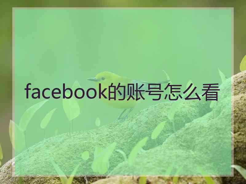 facebook的账号怎么看