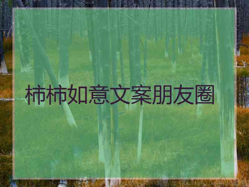 柿柿如意文案朋友圈