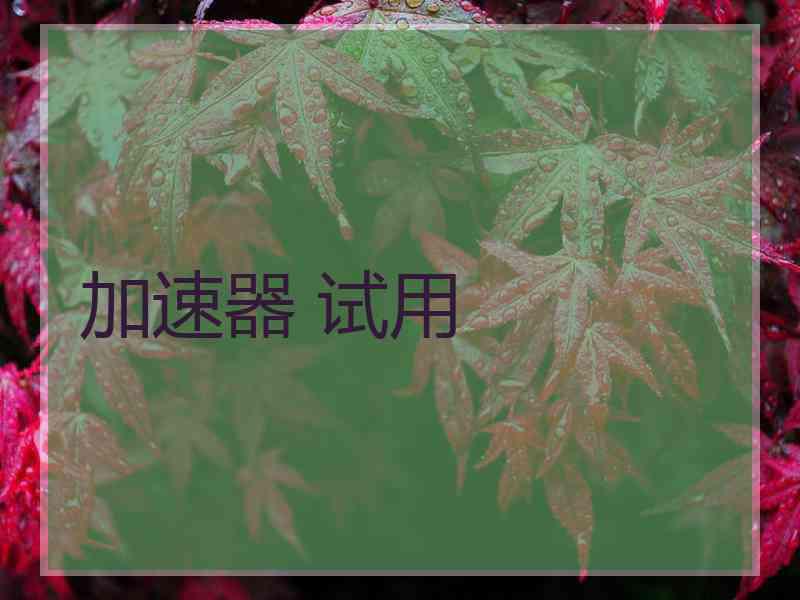 加速器 试用