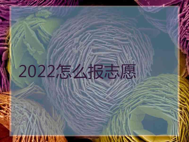 2022怎么报志愿