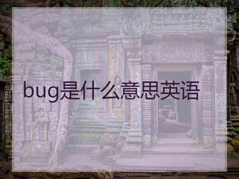 bug是什么意思英语