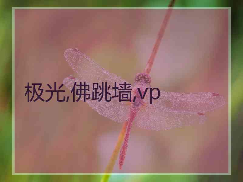 极光,佛跳墙,vp