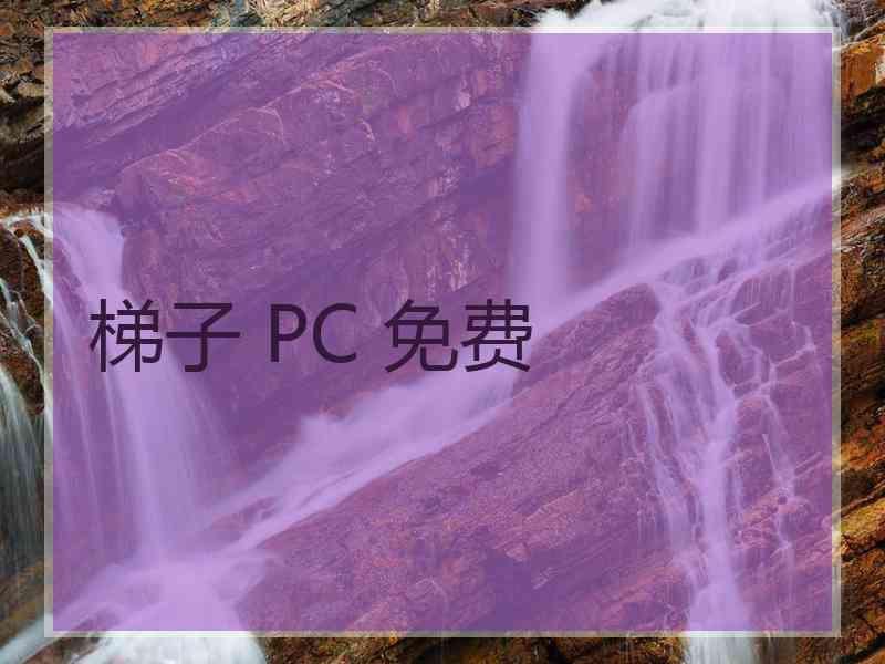 梯子 PC 免费