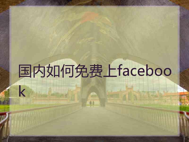 国内如何免费上facebook