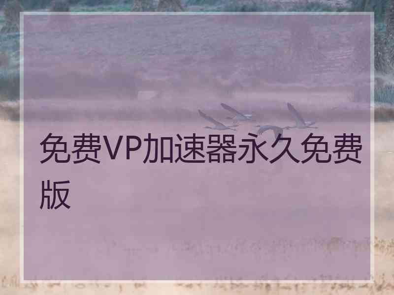 免费VP加速器永久免费版