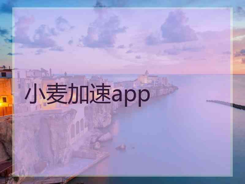 小麦加速app