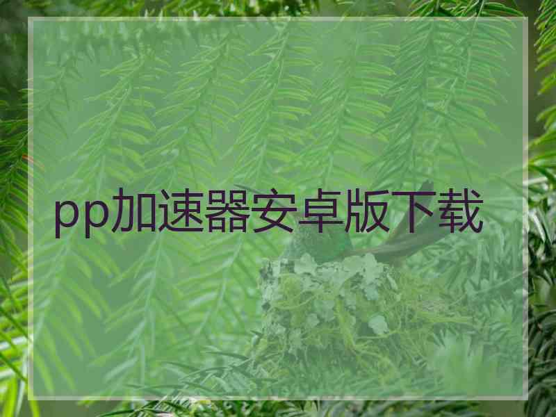 pp加速器安卓版下载