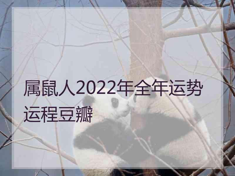 属鼠人2022年全年运势运程豆瓣