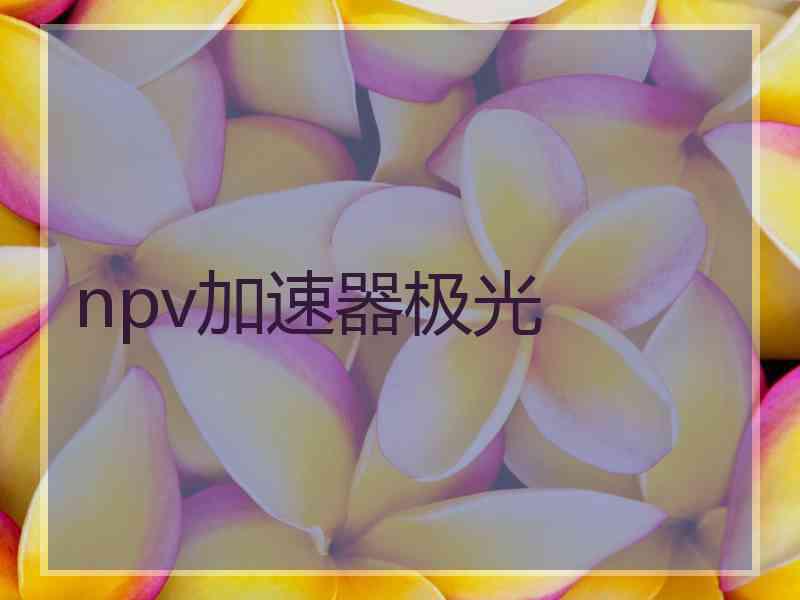 npv加速器极光