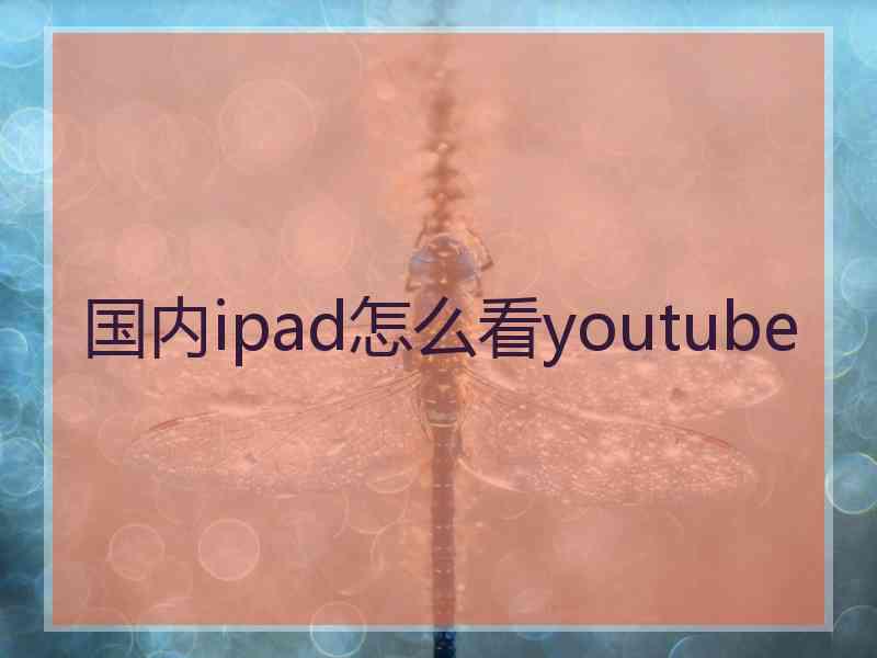 国内ipad怎么看youtube