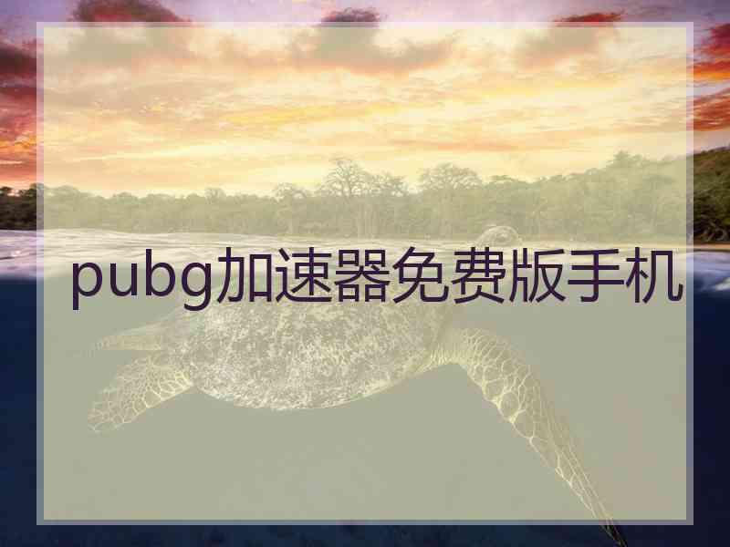 pubg加速器免费版手机