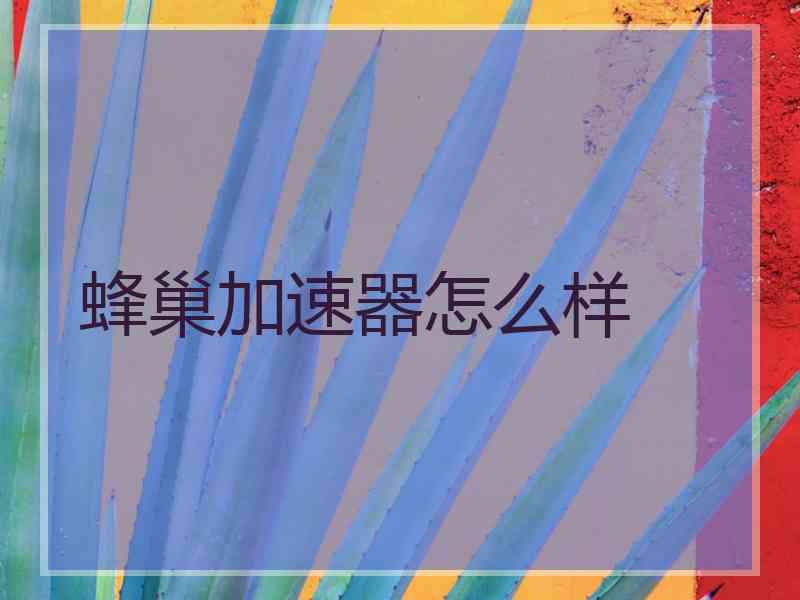 蜂巢加速器怎么样