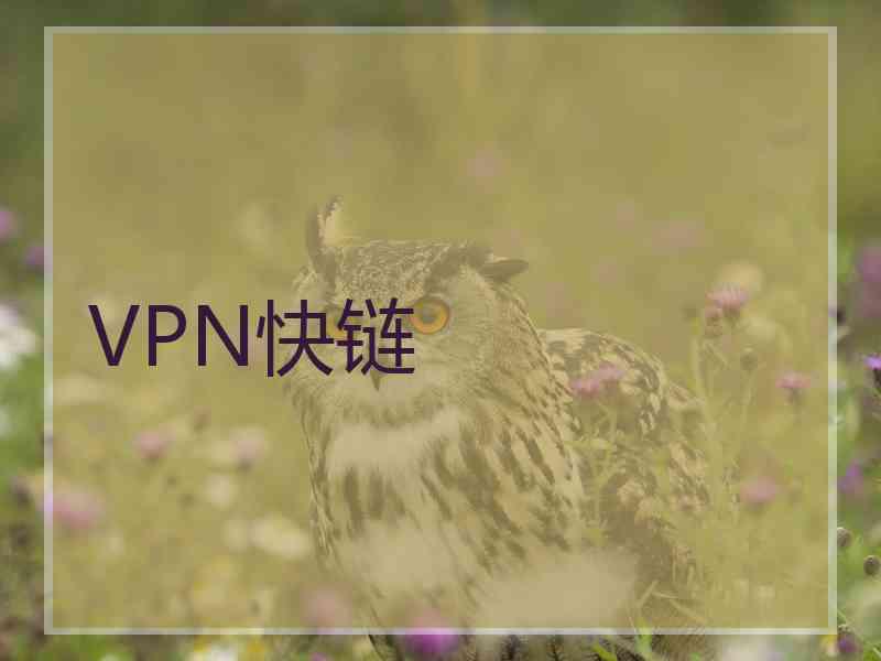 VPN快链