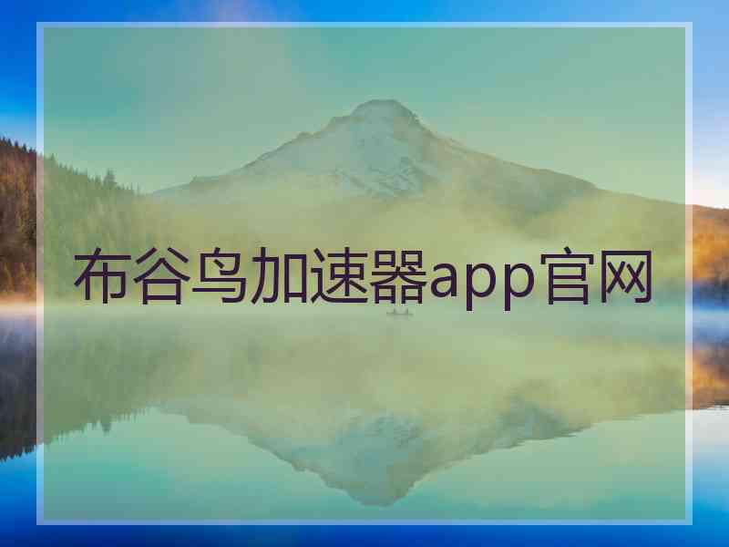 布谷鸟加速器app官网