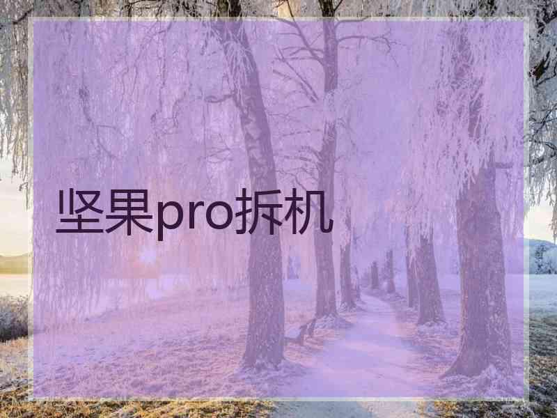 坚果pro拆机