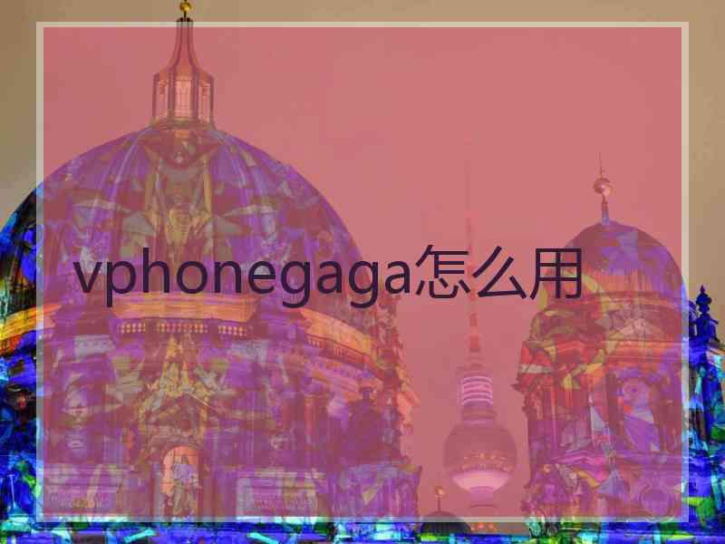 vphonegaga怎么用