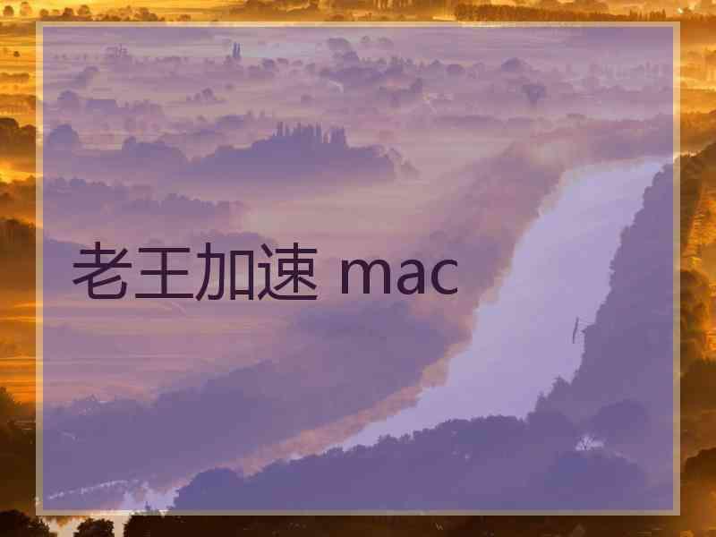 老王加速 mac