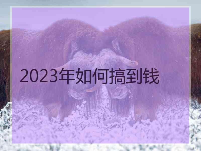 2023年如何搞到钱