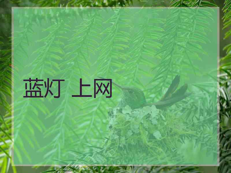 蓝灯 上网