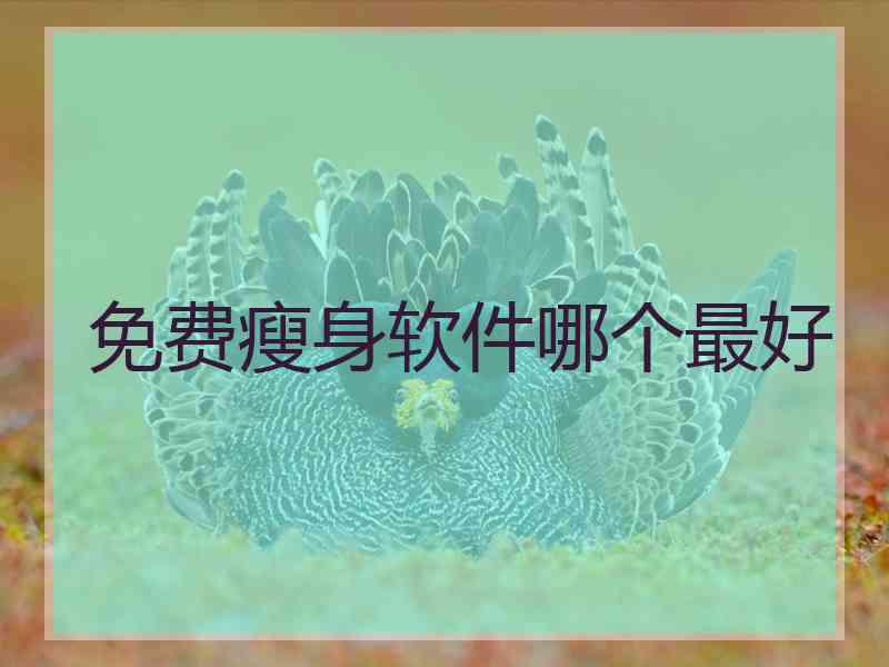 免费瘦身软件哪个最好