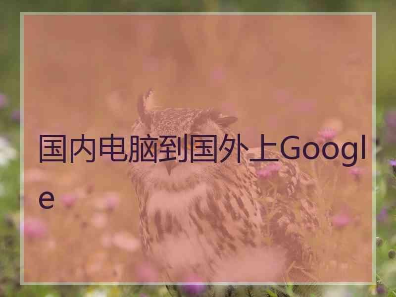 国内电脑到国外上Google