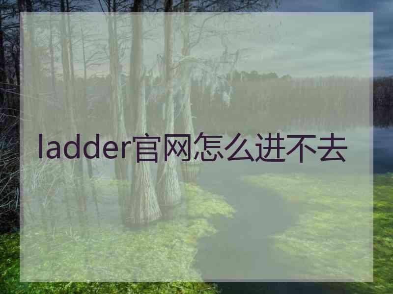 ladder官网怎么进不去