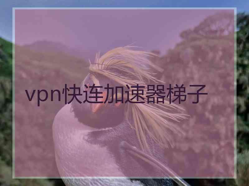 vpn快连加速器梯子