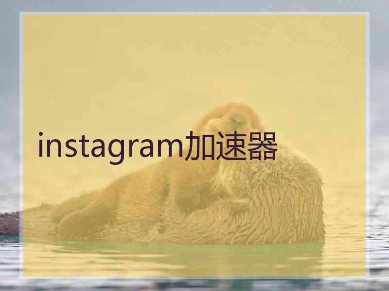 instagram加速器