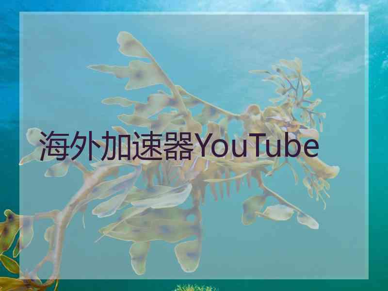 海外加速器YouTube