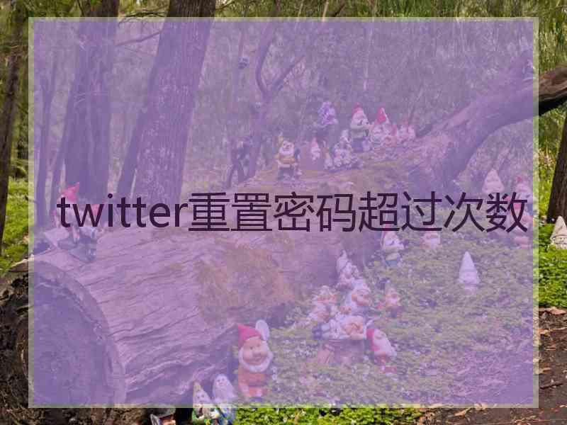 twitter重置密码超过次数